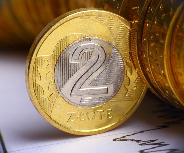Złoty po umocnieniu może się konsolidować w paśmie 4,20-4,24 za euro /&copy;123RF/PICSEL