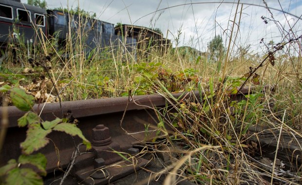 "Złoty pociąg" może mieć sto metrów. "Szkic przekazany na łożu śmierci"