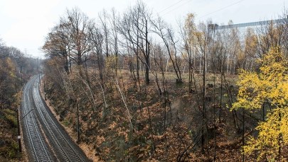 "Złoty pociąg". Ruszają poszukiwania owianego legendą składu