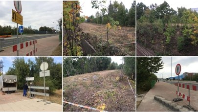 "Złoty pociąg": Teren przygotowany do sprawdzenia przez wojsko