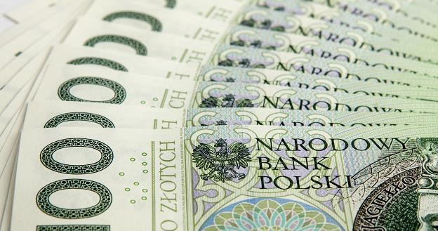 Złoty powinien zyskiwać /&copy;123RF/PICSEL