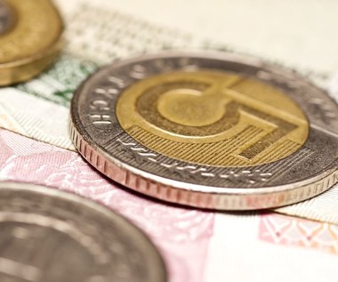 Złoty pozostaje stabilny, gdy rynki płoną. Polska waluta odporna na panikę na giełdach