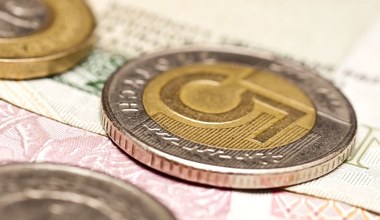 Złoty pozostaje stabilny, gdy rynki płoną. Polska waluta odporna na panikę na giełdach