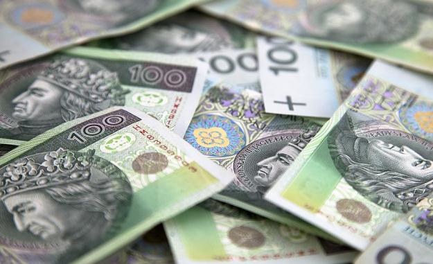 Złoty pozostaje stabilny przed decyzją RPP /&copy;123RF/PICSEL