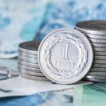 Złoty przed wielką próbą? Dolar szykuje się do następnej ofensywy