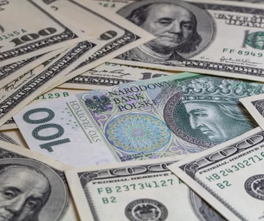 Złoty przegrywa z dolarem. Nasza waluta na ścieżce spadków