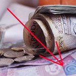 Złoty przygotowuje się do wyborów