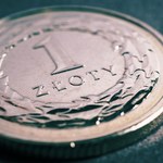 Złoty rośnie w siłę. Co się stało z dolarem?