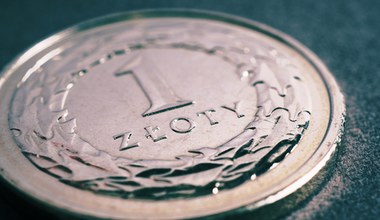 Złoty rośnie w siłę. Co się stało z dolarem?