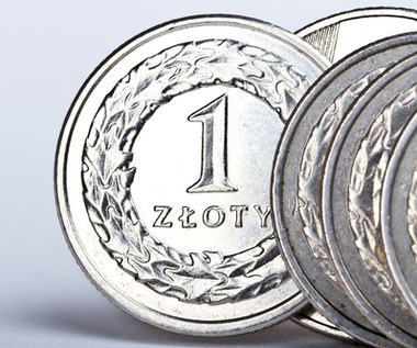 Złoty skazany na spadki. NBP nie dba o siłę własnej waluty?