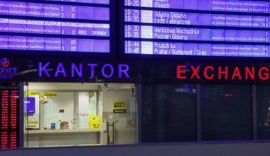 Złoty słabszy na koniec tygodnia. Czekamy na decyzję Moody's