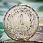 Złoty słabszy przez włoskie wybory