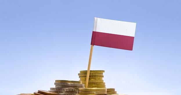 Złoty traci na wyborach /&copy;123RF/PICSEL