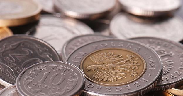 Złoty umocnił się na otwarciu poniżej poziomu 4,28/EUR /&copy; Panthermedia