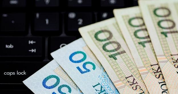 Złoty umocnił się po tym, jak w USA porozumiano się w sprawie klifu fiskalnego /&copy;123RF/PICSEL