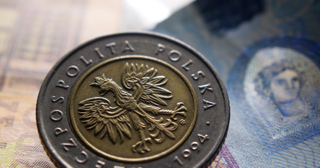 Złoty w czwartek będzie pod wpływem krajowych danych makro i decyzji EBC ws. stóp procentowych /123RF/PICSEL