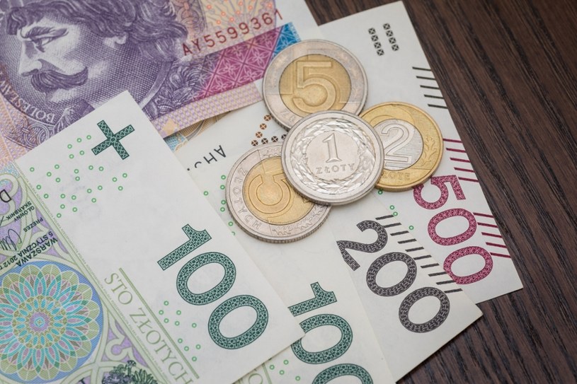 Złoty w nadchodzący roku straci na wartości , fot. Arkadiusz Ziółek /Agencja SE/East News