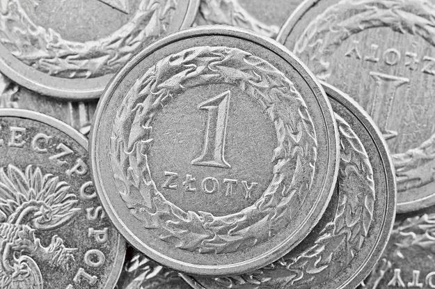 Złoty w najbliższych dniach może się jeszcze osłabić /&copy;123RF/PICSEL