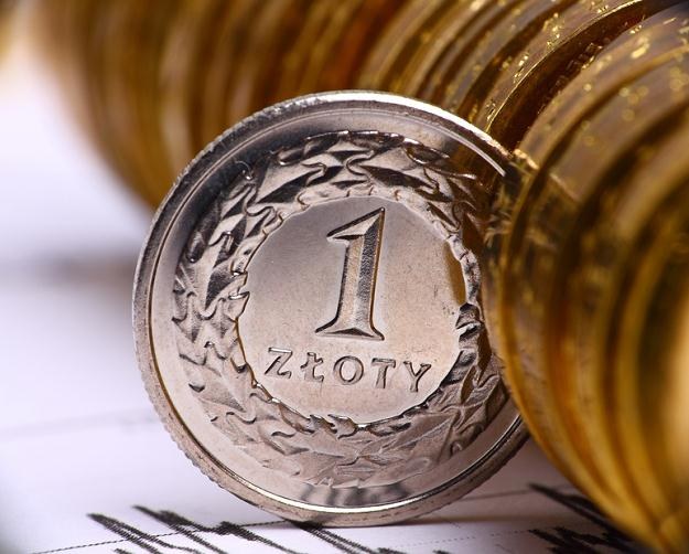 Złoty w piątek powinien utrzymać się w przedziale 4,20-4,25 za euro /&copy; Panthermedia