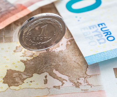 Złoty w piątek traci. Ile trzeba płacić za dolara, euro i franka?