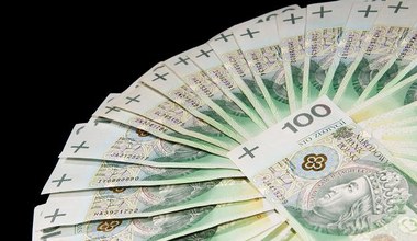 Złoty z potencjałem do dalszej aprecjacji