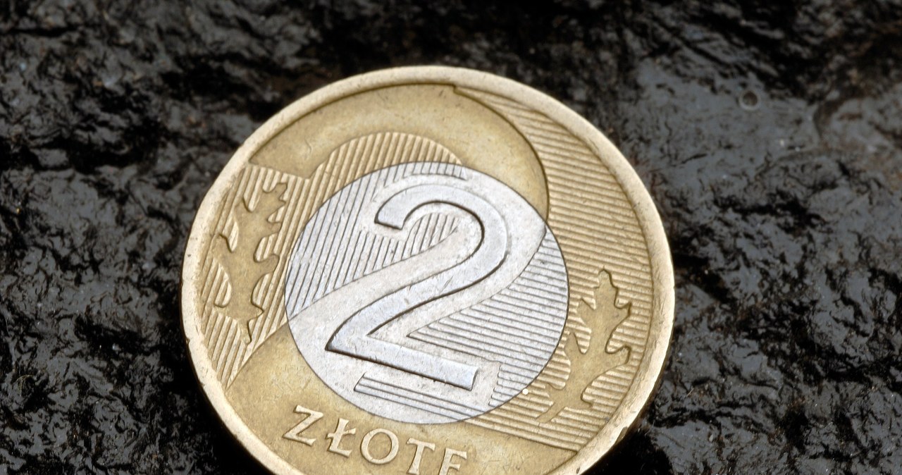 Złoty znalazł się pod silną presją. Co dalej z kursem walutowym? Zdj. ilustracyjne /123RF/PICSEL