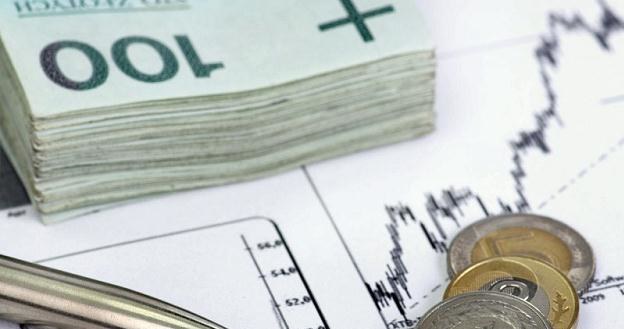 Złoty zyskał ostatnio 25 groszy do euro /&copy; Panthermedia