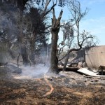 Film (2008) Reż.Baz Luhrmann