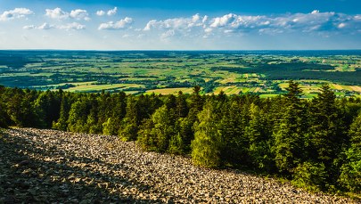 Zmiana granic Świętokrzyskiego Parku Narodowego. Lewica idzie do prokuratury