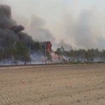 Zmiana klimatu daje się odczuć w Brandenburgii. Rzeka Czarna Elstera kolejny raz wyschła