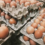 Zmiany w handlu z Ukrainą. 13 produktów na liście