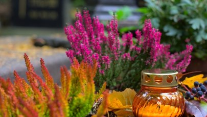 Zmiany w organizacji ruchu przy białostockich cmentarzach [MAPY]