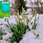 Zmiany w pogodzie. Dwucyfrowy mróz i śnieżne zawieje, potem wiosna