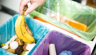 ​Zmiany w segregacji śmieci od stycznia. Nowy pojemnik trzeba kupić samodzielnie