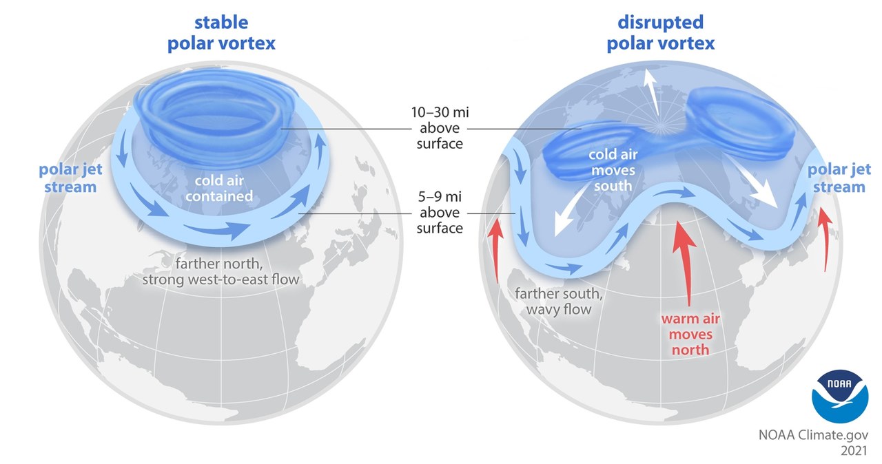 Zmiany wiru plarnego na półkuli północnej /NOAA    /domena publiczna