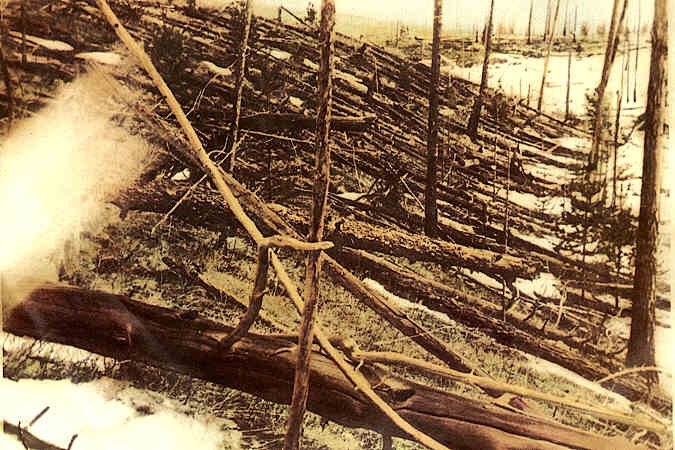 Trees were swept away in the Tunguska disaster area about 19 years after the event / Leonid Kulik / Public Domain / Wikipedia