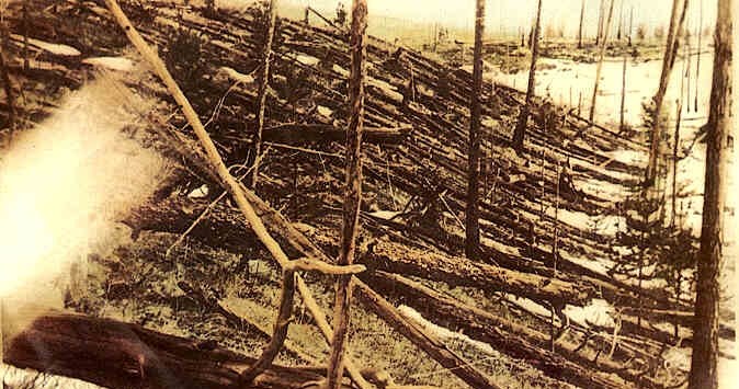 Zmiecione zdrzewa na obszarze katastrofy tunguskiej około 19 lat po wydarzeniu /Leonid Kulik/domena publiczna /Wikipedia