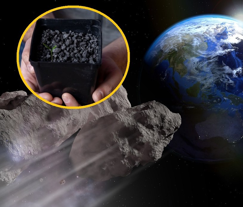 Zmielone asteroidy jako nawozy sztuczne? Naukowcy są zachwyceni /materiały prasowe