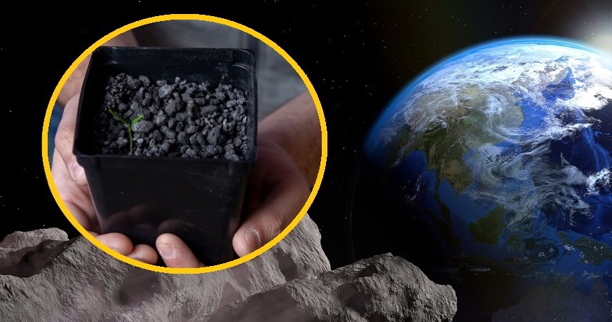 Zmielone asteroidy jako nawozy sztuczne? Naukowcy są zachwyceni /materiały prasowe