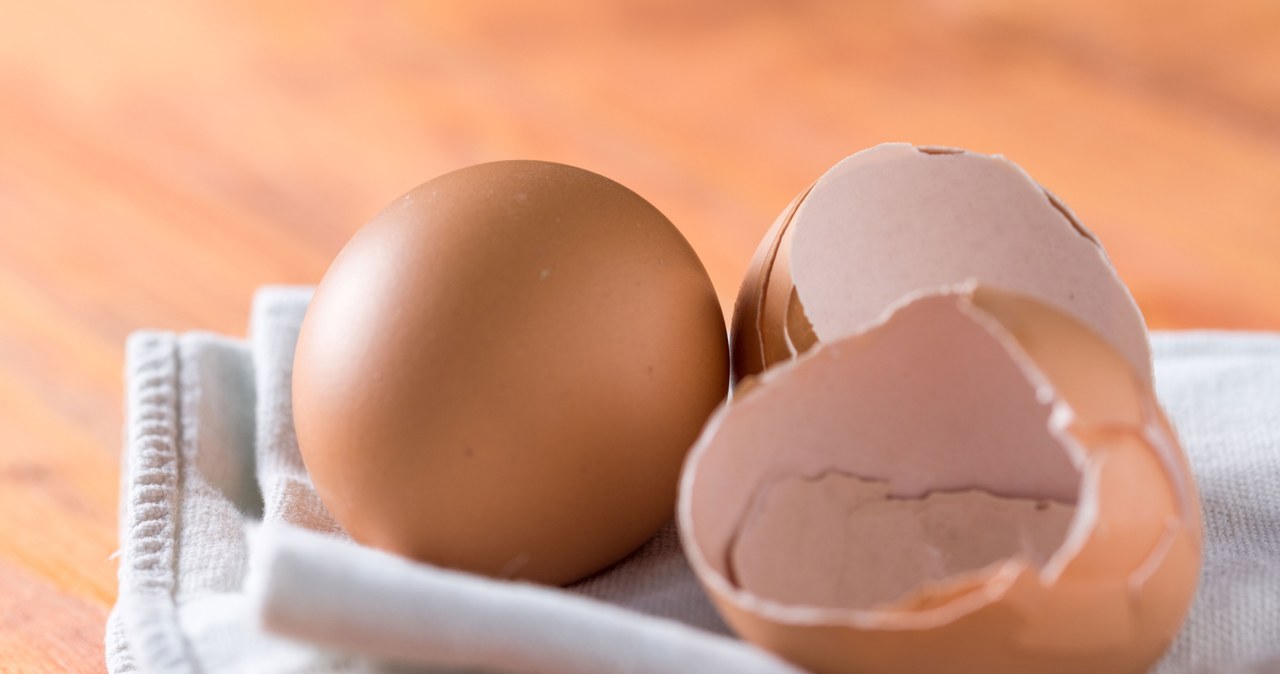 Zmielonymi skorupami jajek wyczyścisz naczynia ze stali nierdzewnej /123RF/PICSEL