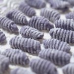 Zmieniłam zwykłe purée na fioletowe. Efekt wizualny to tylko połowa sukcesu