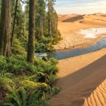 Zmienili gigantyczną pustynię w zielony raj. Projekt stulecia zadziwia