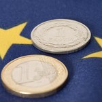 Zmienne losy euro w Polsce