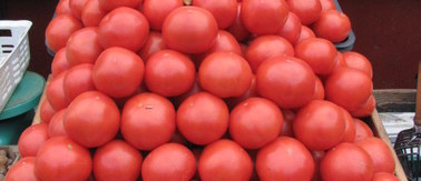 Zmodyfikowane pomidory obniżą poziom cholesterolu