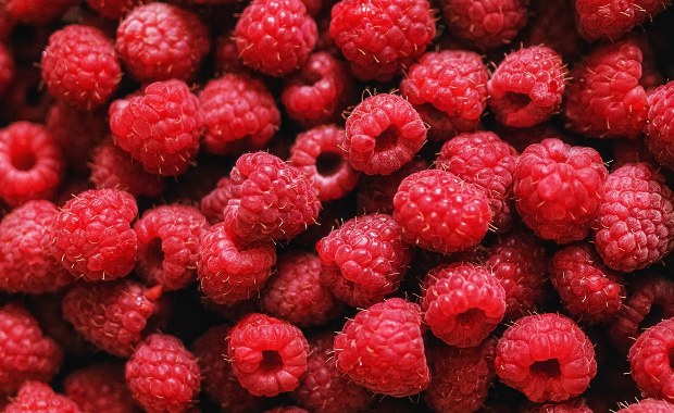 Zmowa cenowa przy skupie malin? Ruszają kontrole