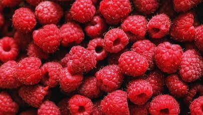 Zmowa cenowa przy skupie malin? Ruszają kontrole