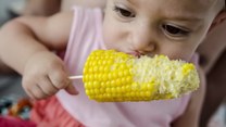 Zmysłowe smaki: Jak gotować kukurydzę? 