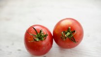 Zmysłowe smaki: Jak obrać pomidory ze skórki? 