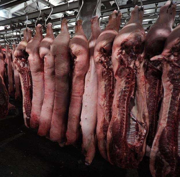 Znacząco spada kondycja finansowa zakładów mięsnych /AFP