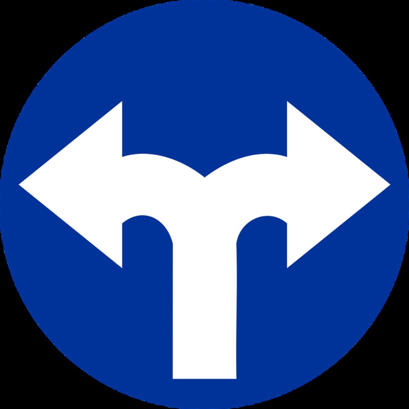 Znak C-8 nakaz jazdy w prawo lub w lewo /INTERIA.PL